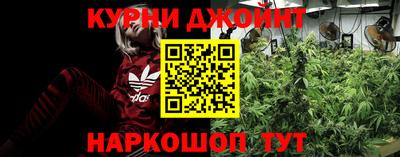 PSILOCYBIN Пенза