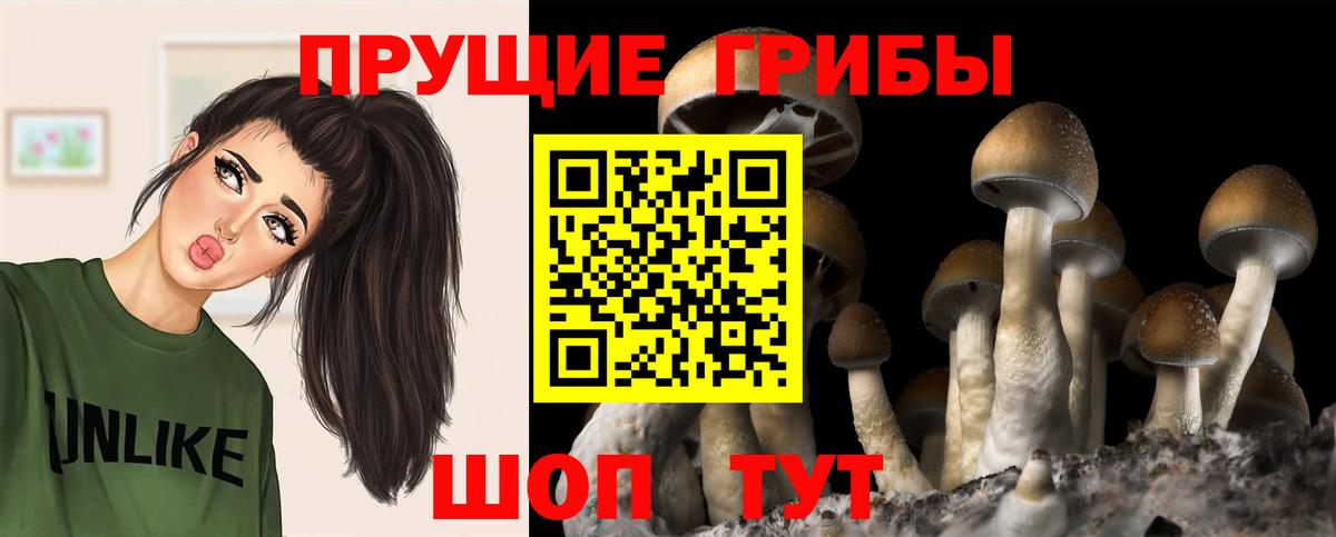 Галлюциногенные грибы мицелий  Вход с VPN  Тихвин  наркошоп  Галлюциногенные грибы прущие грибы 